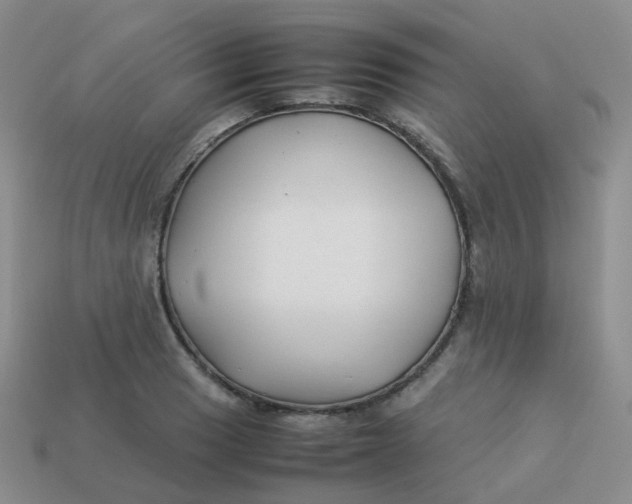 X0000113371033200910131317