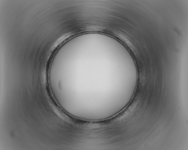 X0000113371034200910131317