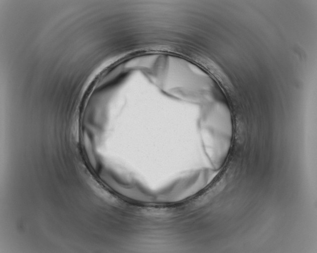 X0000113371036200910131317