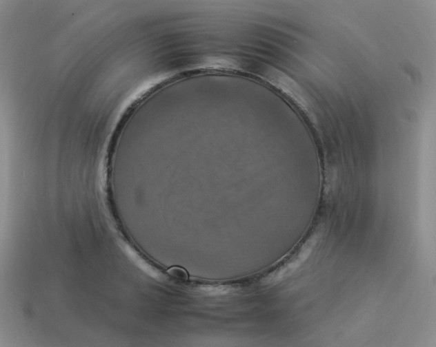 X0000113371037200910131317