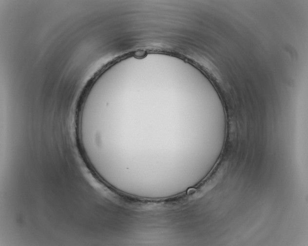 X0000113371038200910131317