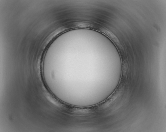 X0000113371039200910131317