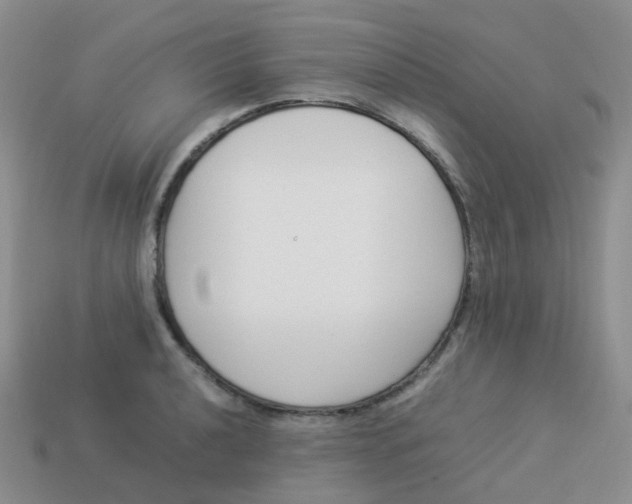 X0000113371040200910131317