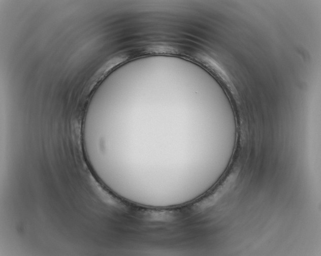 X0000113371041200910131317