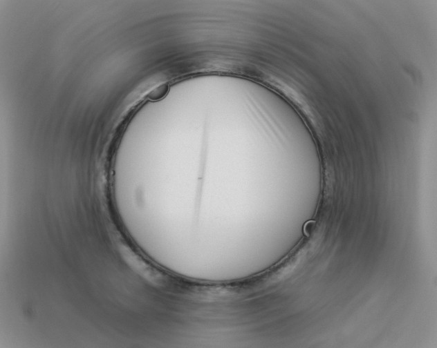 X0000113371042200910131317