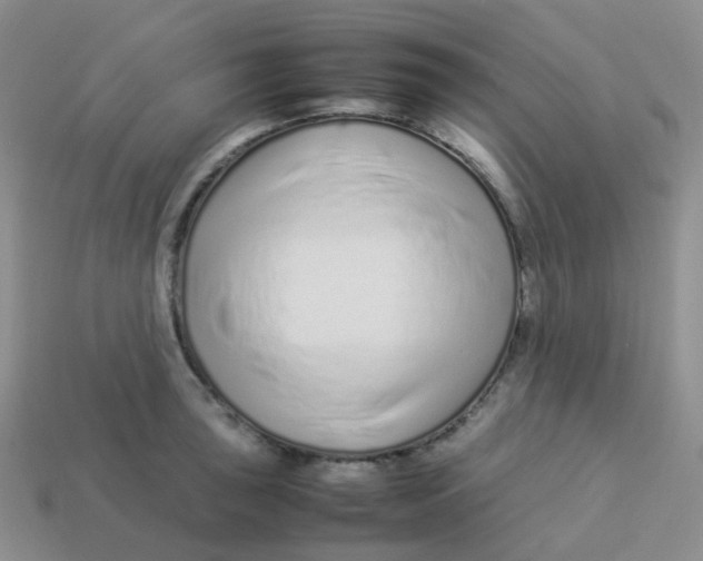 X0000113371043200910131317