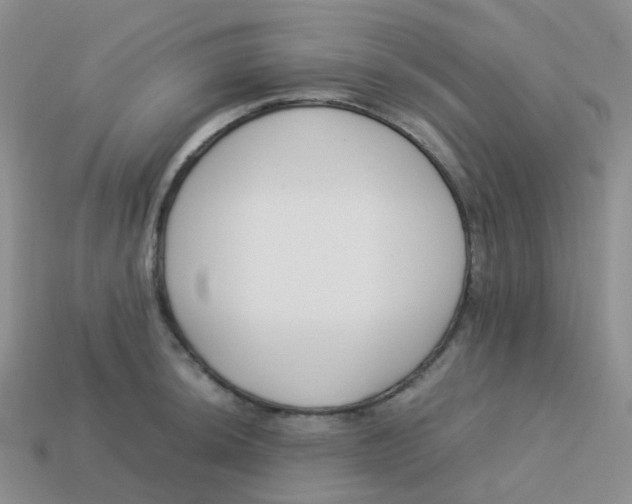 X0000113371044200910131317