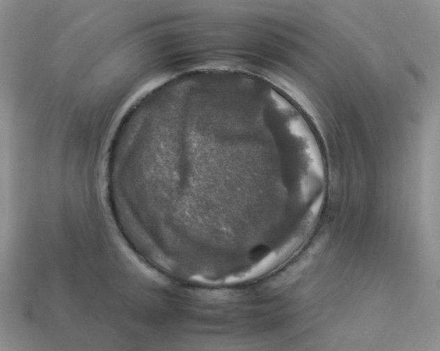 X0000113371045200910131317