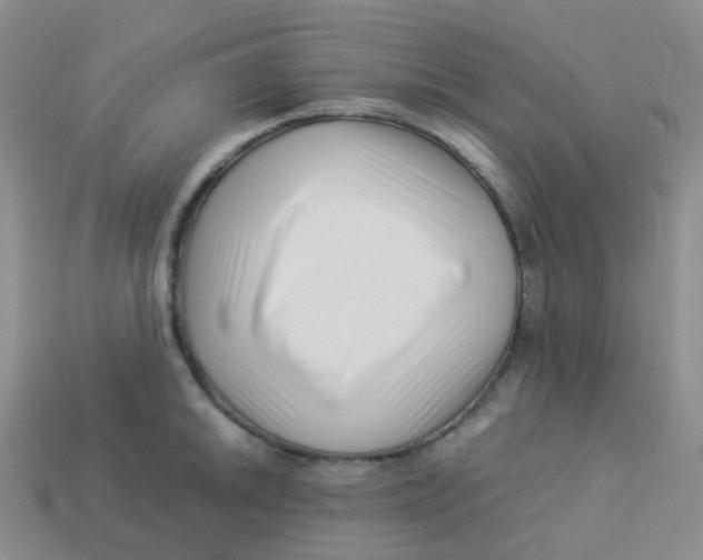 X0000113371046200910131317