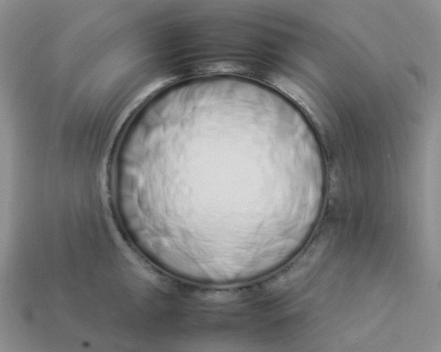 X0000113371047200910131317