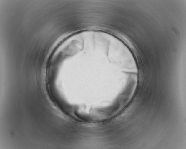 X0000113371048200910131317