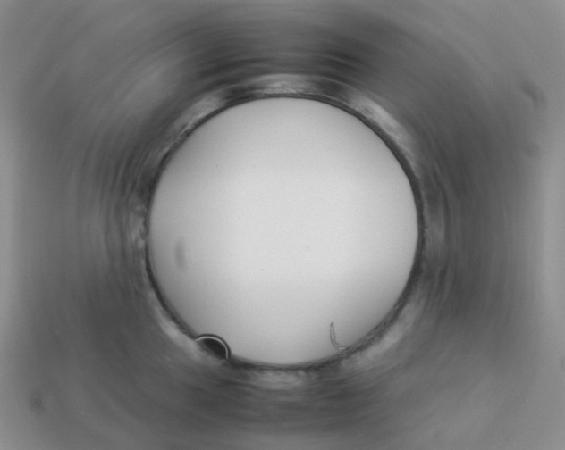 X0000113371049200910131317