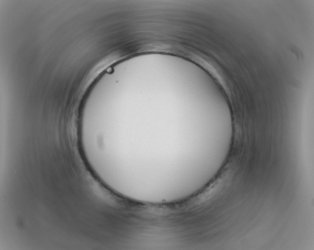 X0000113371050200910131317