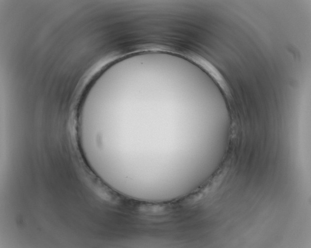 X0000113371051200910131317