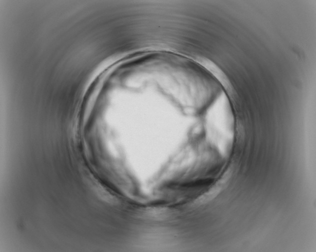 X0000113371052200910131317