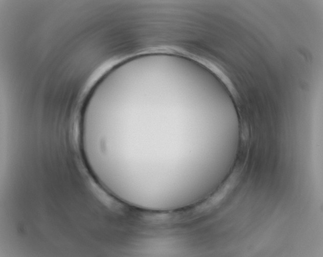 X0000113371054200910131317