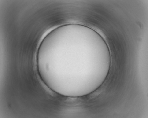 X0000113371056200910131317