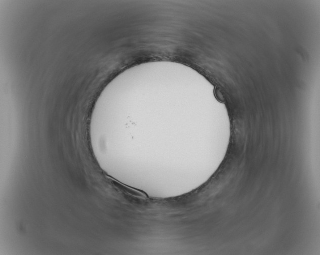 X0000113371057200910131316