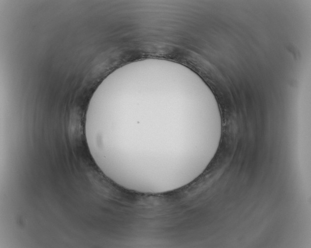 X0000113371058200910131316