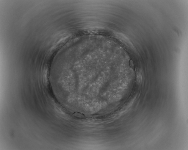X0000113371060200910131316
