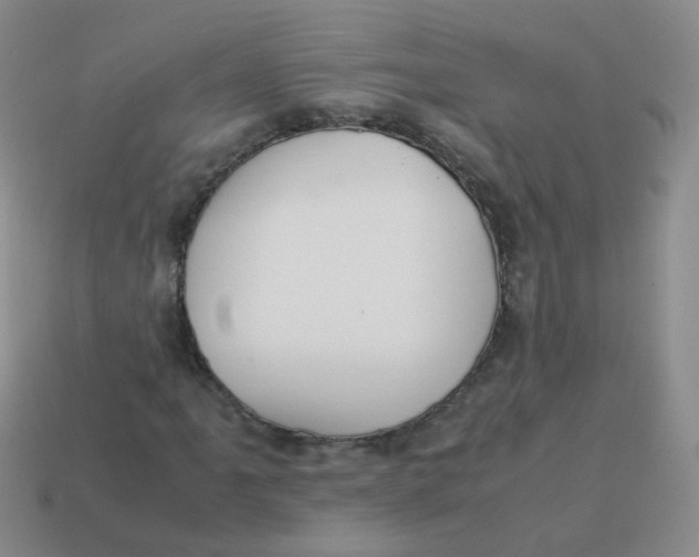 X0000113371061200910131316
