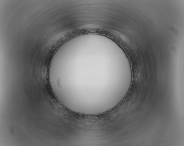 X0000113371062200910131316
