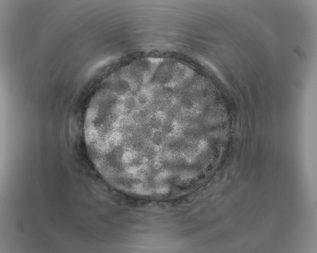 X0000113371063200910131316