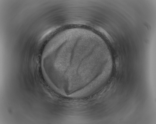 X0000113371064200910131316