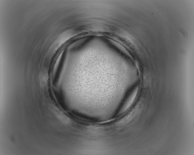 X0000113371065200910131316