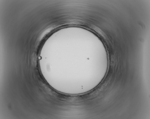X0000113371067200910131316