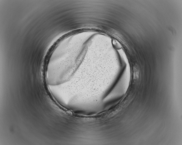 X0000113371068200910131316