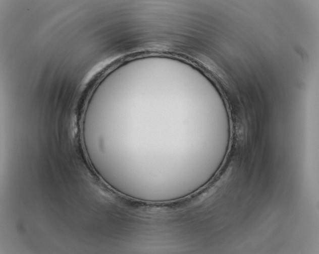 X0000113371070200910131316