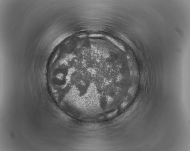 X0000113371071200910131316