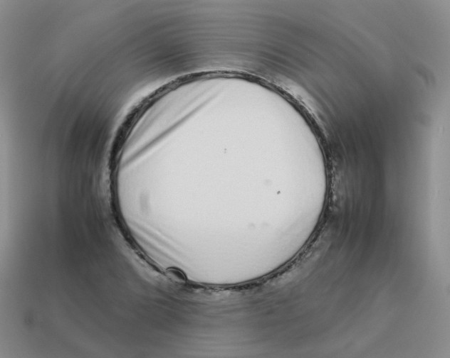 X0000113371072200910131316