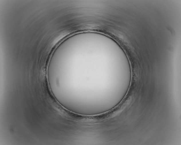X0000113371073200910131316
