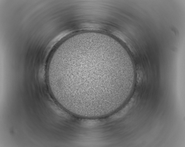X0000113371074200910131316