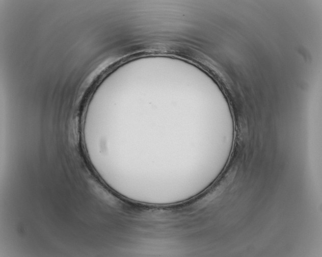 X0000113371075200910131316
