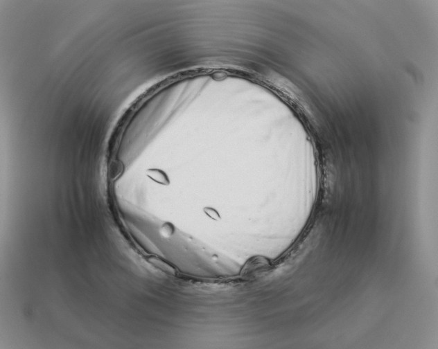 X0000113371076200910131316