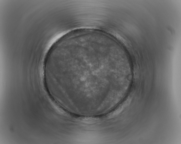 X0000113371077200910131316