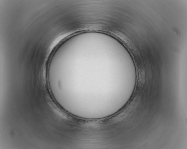 X0000113371078200910131316