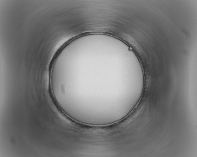 X0000113371079200910131316