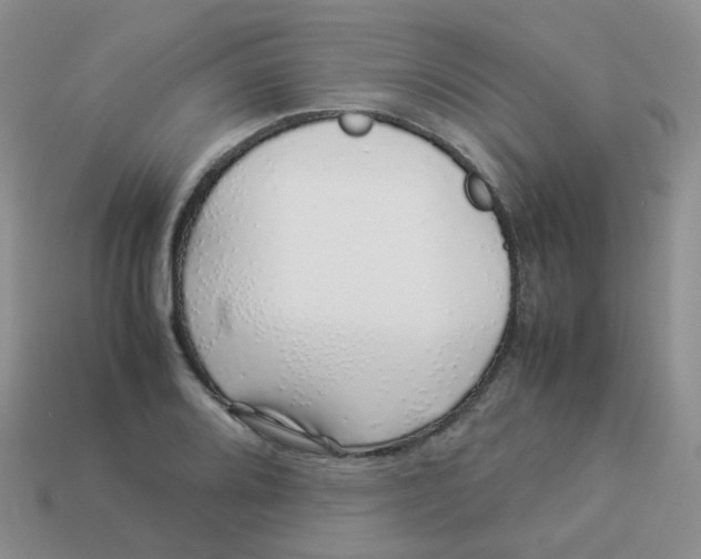 X0000113371080200910131316