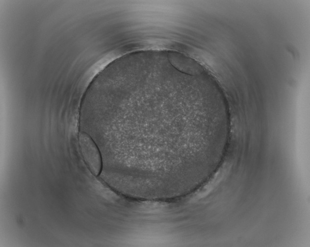 X0000113371081200910131316
