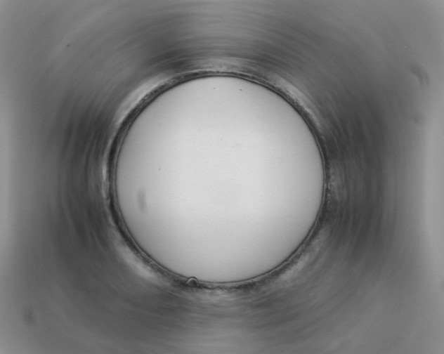 X0000113371082200910131316