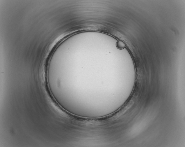 X0000113371083200910131316
