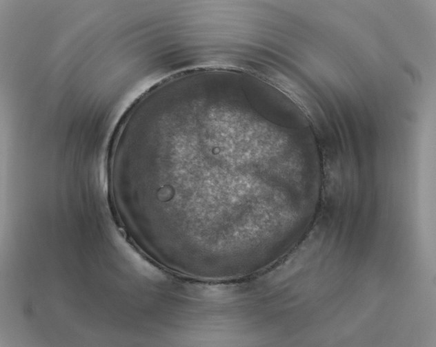 X0000113371084200910131316