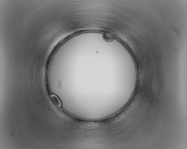 X0000113371085200910131316