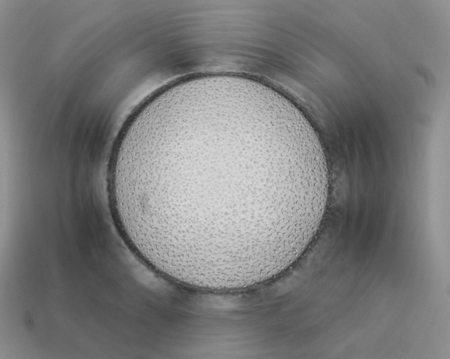 X0000113371086200910131316