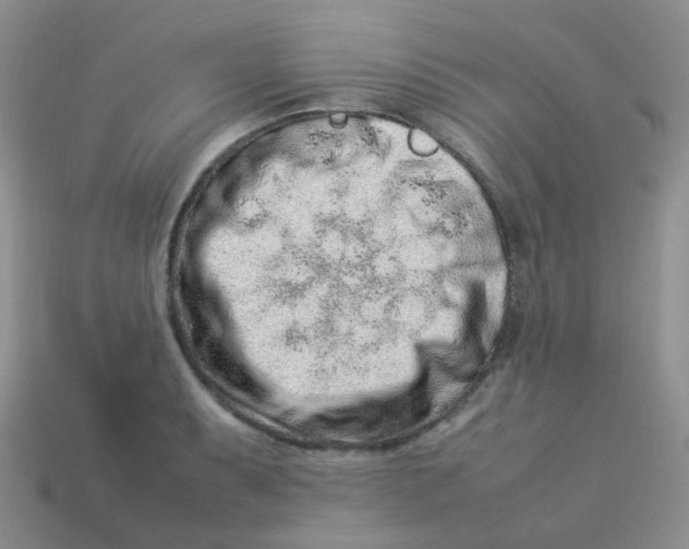 X0000113371087200910131316