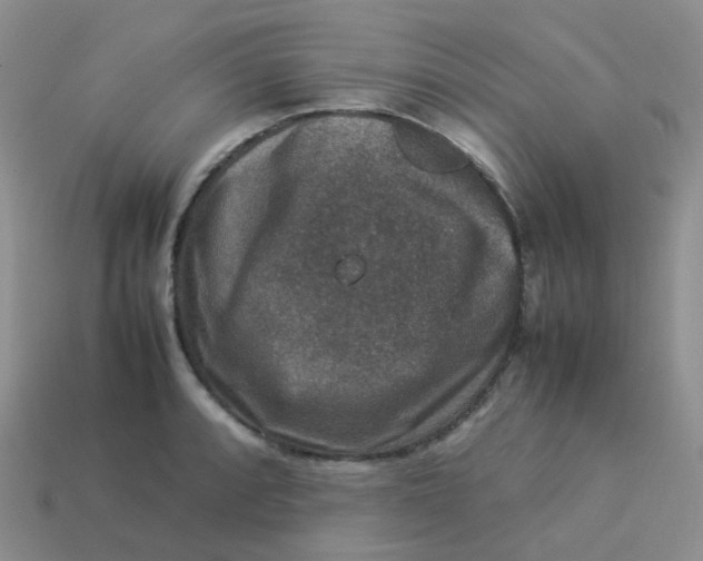 X0000113371088200910131316